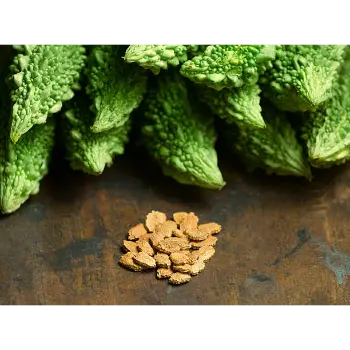 bitter gourd (11)-1425970-14243.webp